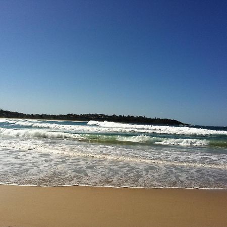 Mollymook Paradise Haven Motel Dış mekan fotoğraf