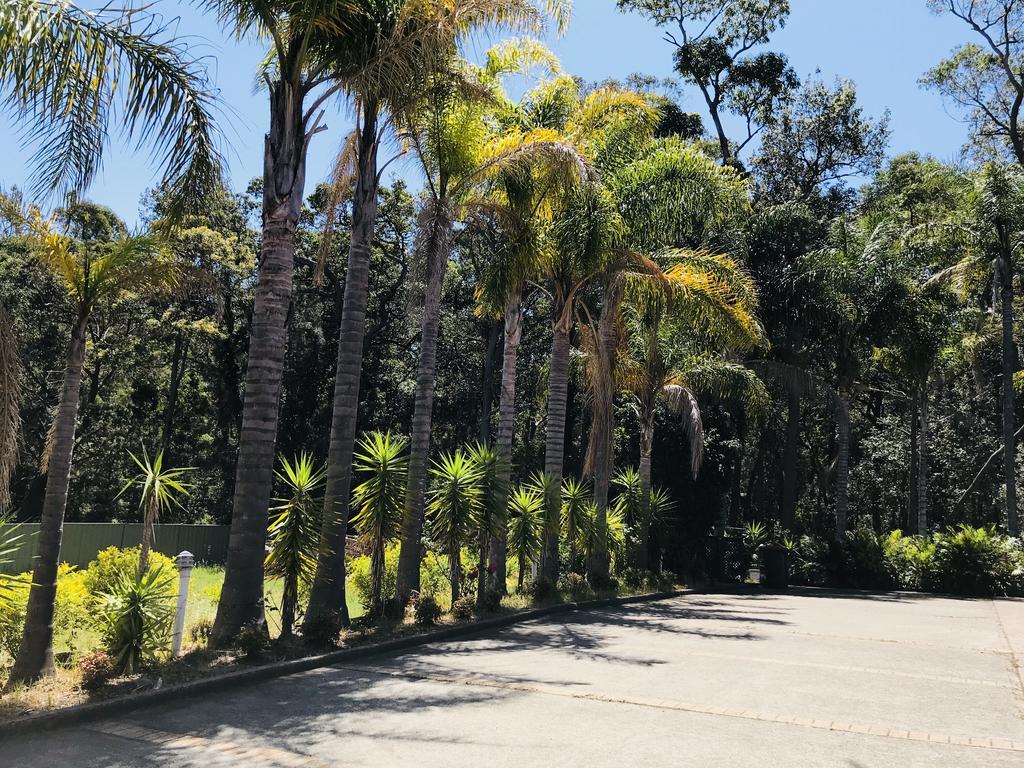 Mollymook Paradise Haven Motel Dış mekan fotoğraf