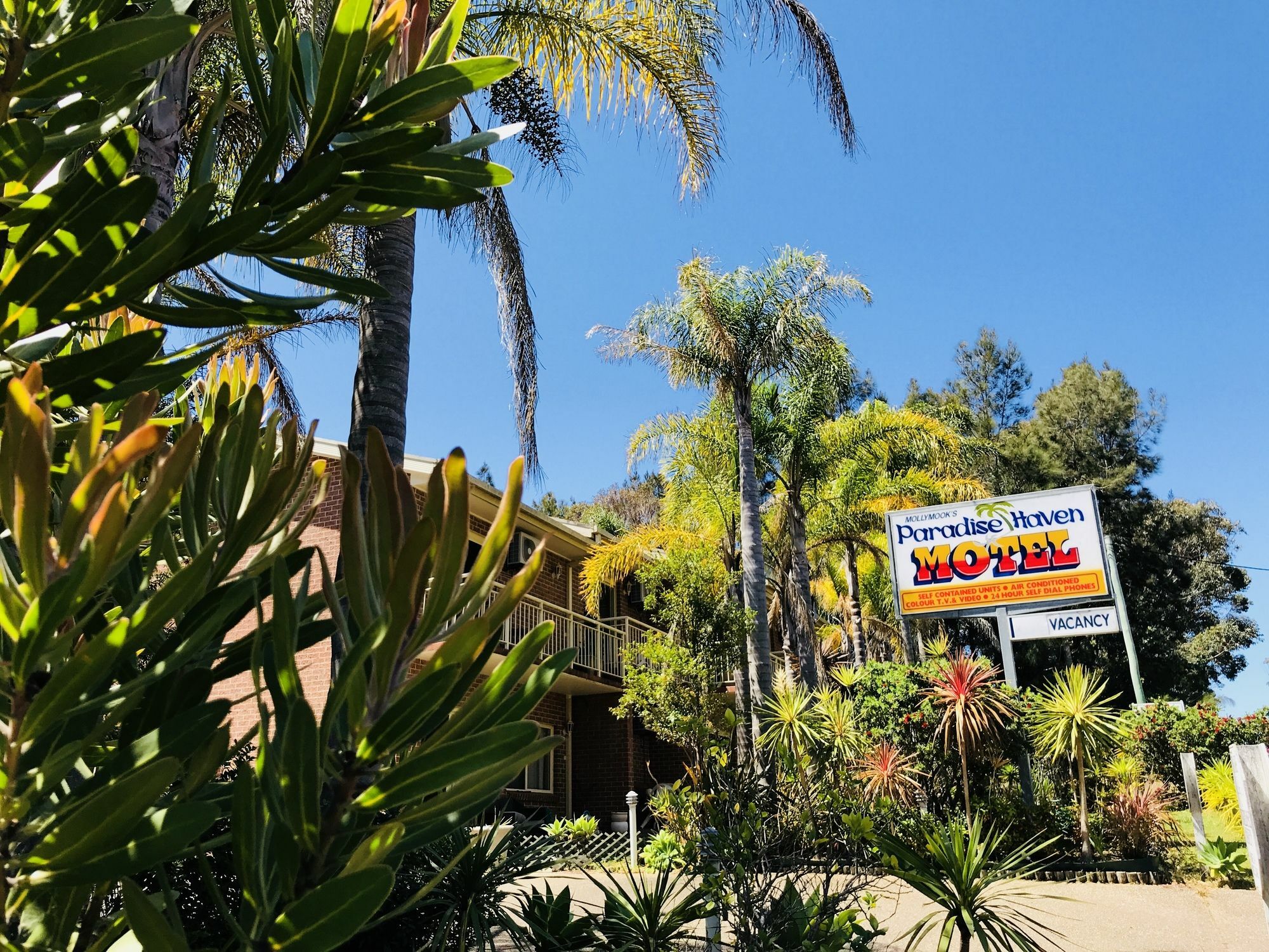 Mollymook Paradise Haven Motel Dış mekan fotoğraf